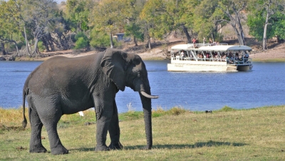 Anteprima: Botswana - Quando andare?